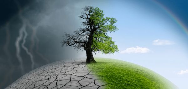 Qu'est-ce que la loi Climat et Résilience ?